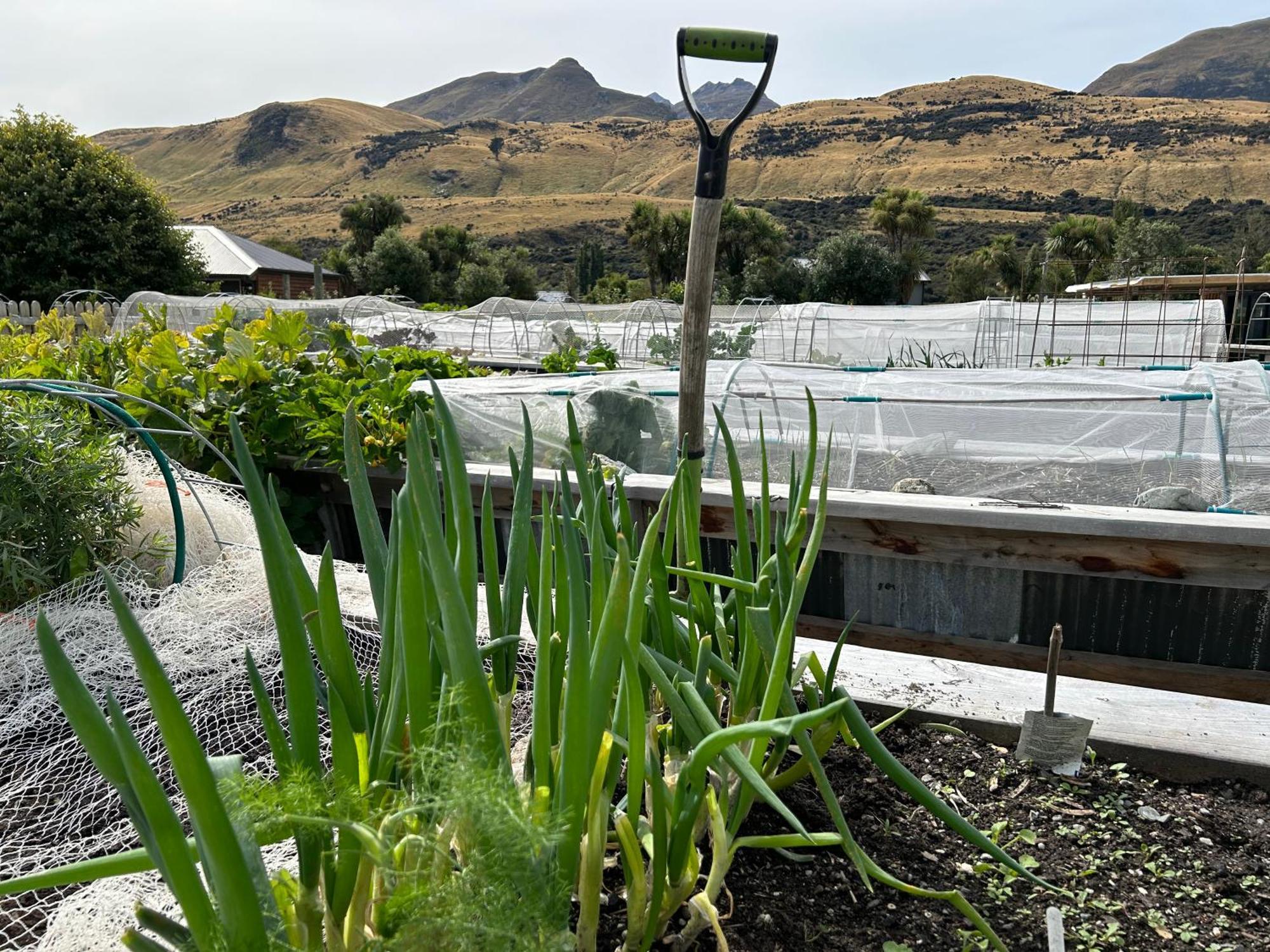 The Headwaters Eco Lodge Glenorchy Extérieur photo